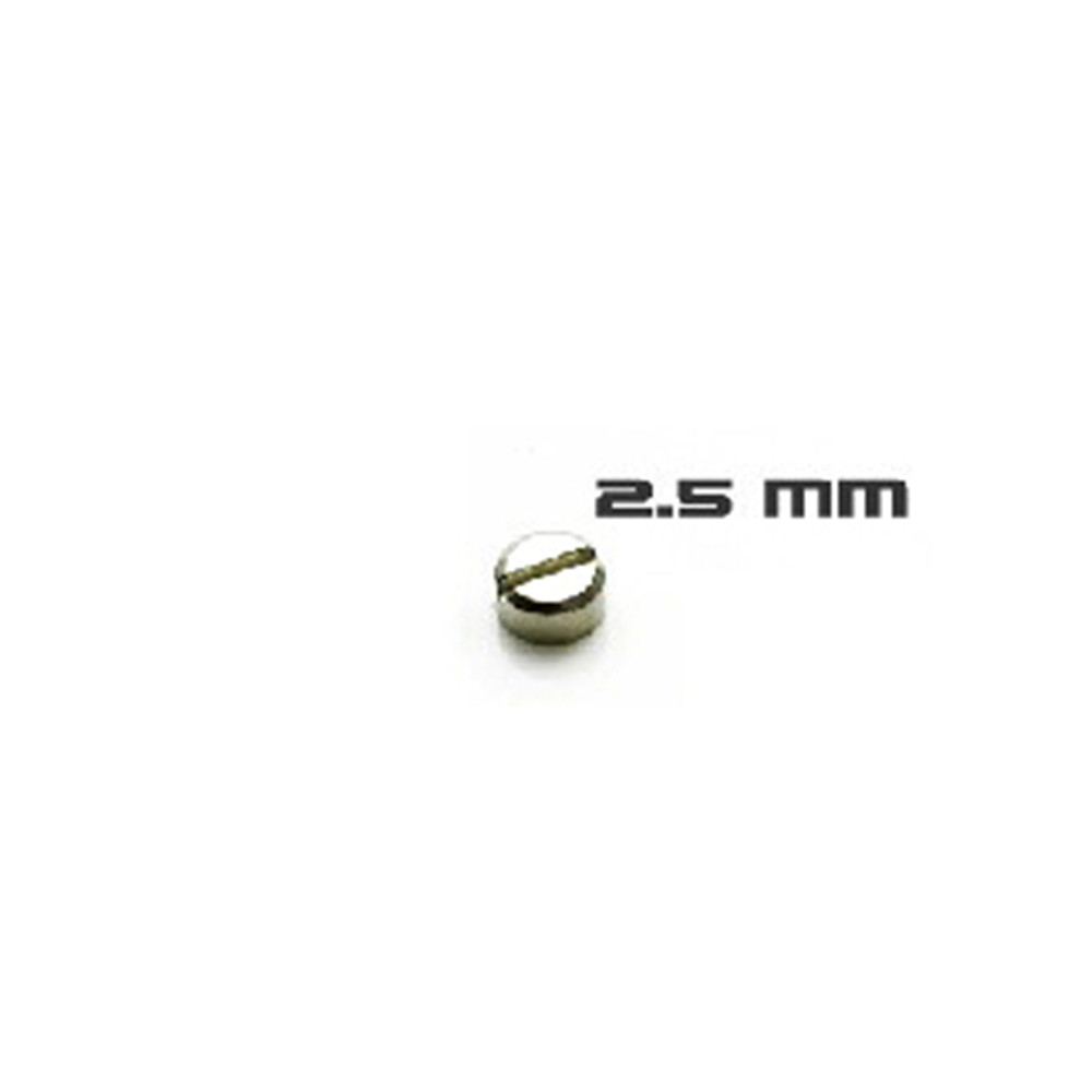 30pcs Armored Screws Model Sup - Gundam Model Mg recension och pris